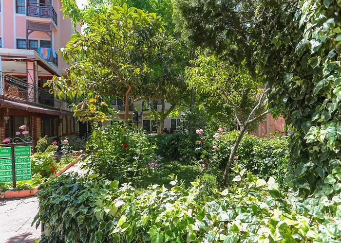 Club Pink Palace מלון 3*