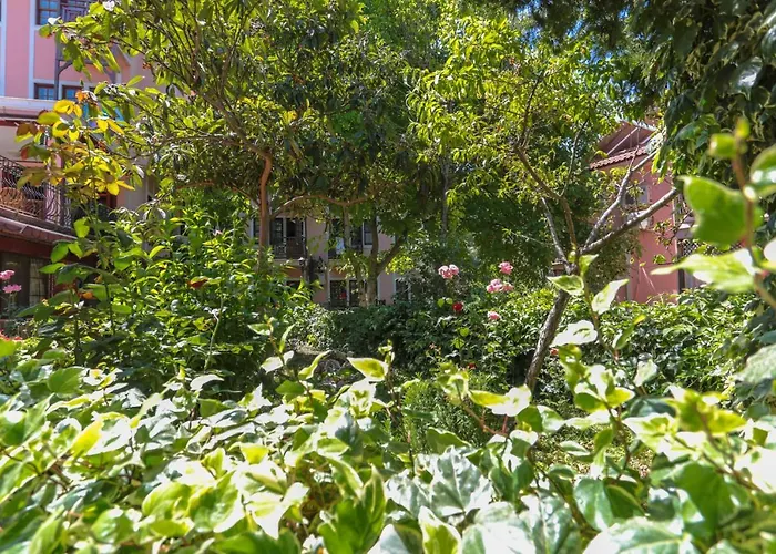 מלון Club Pink Palace 3*