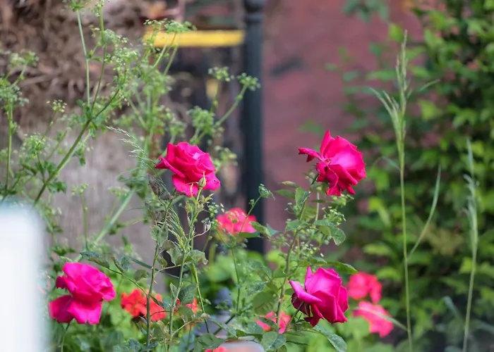 Club Pink Palace אולודניץ