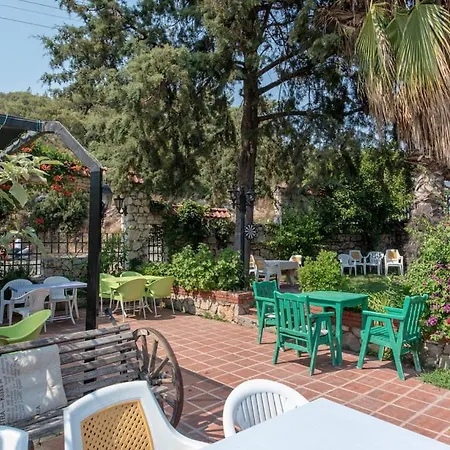 ホテル Club Pink Palace 3*