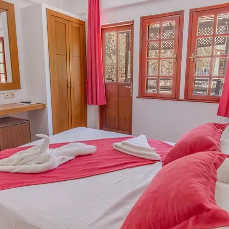 ホテル Club Pink Palace