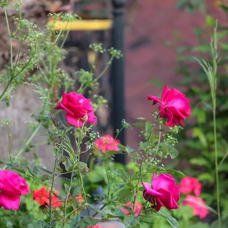 Club Pink Palace Oludeniz