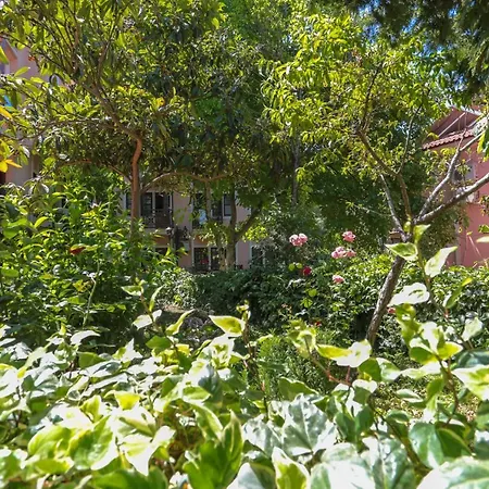 Hotell Club Pink Palace 3*