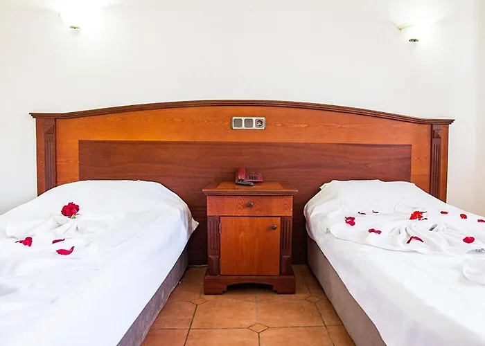 Club Pink Palace 3*