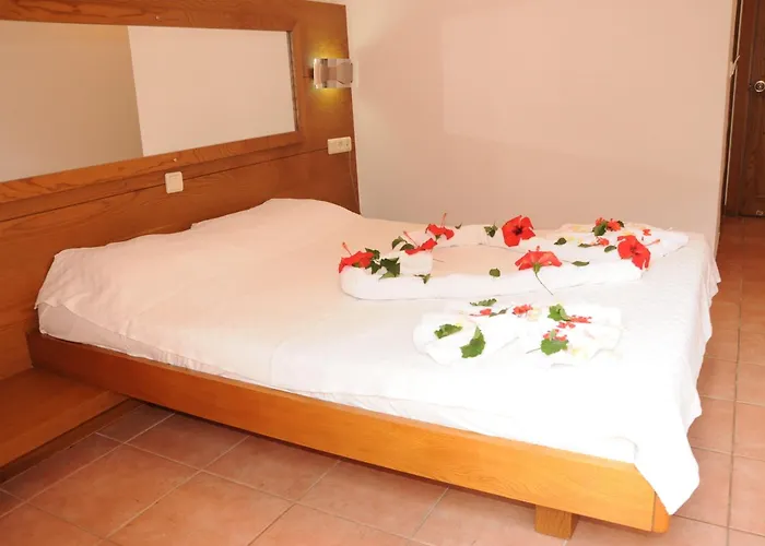 Club Pink Palace 3*